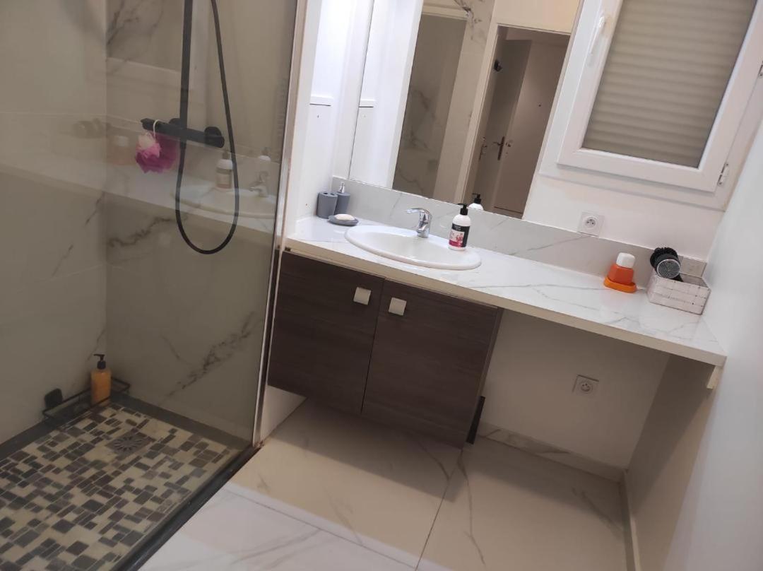 ויטרי-סור-סיין Tres Bel Appartement Avec Grand Jardin, Proche De Paris מראה חיצוני תמונה